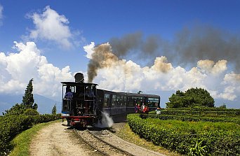 Kalimpong Gangtok Darjeeling Tour (5N/6D)