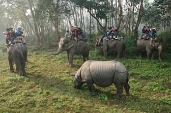 Kathmandu Chitwan Pokhara 6N 7D Tour Package